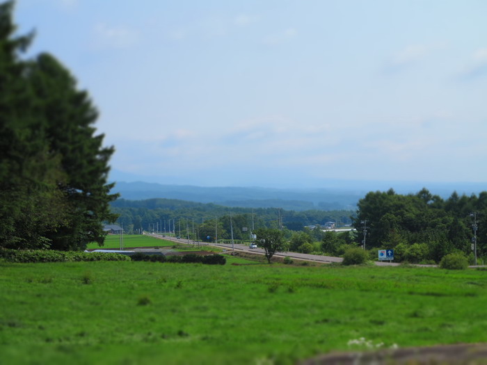 c0197578_0561866.jpg