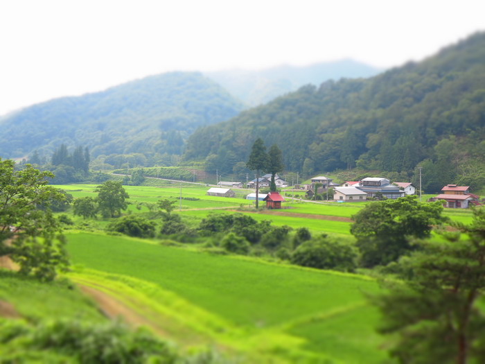 c0197578_1533366.jpg