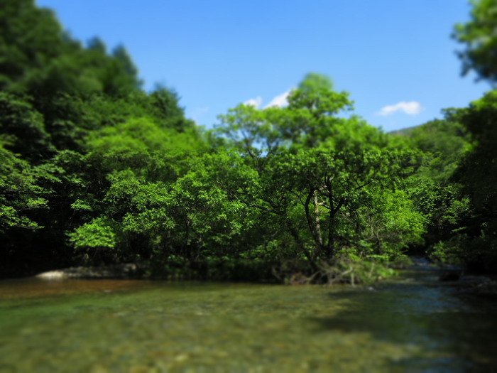 c0197578_16028.jpg