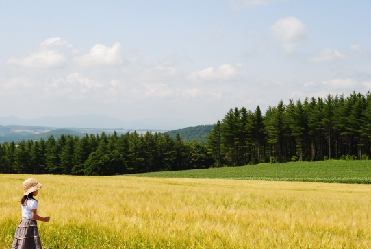 夏の富良野_f0171283_15194314.jpg