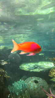 夏。_d0178587_12334326.jpg