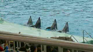 夏。_d0178587_12374611.jpg