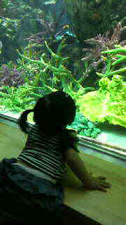 夏。_d0178587_1241181.jpg