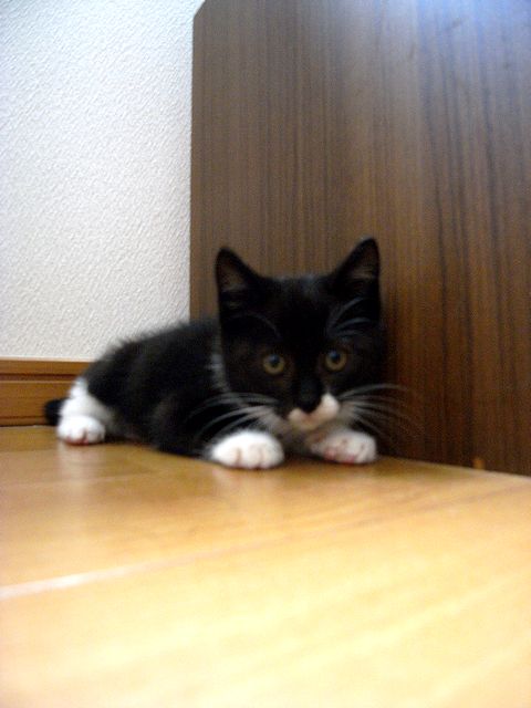 a0093592_0403991.jpg