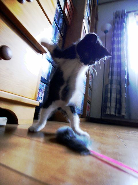 a0093592_04226.jpg
