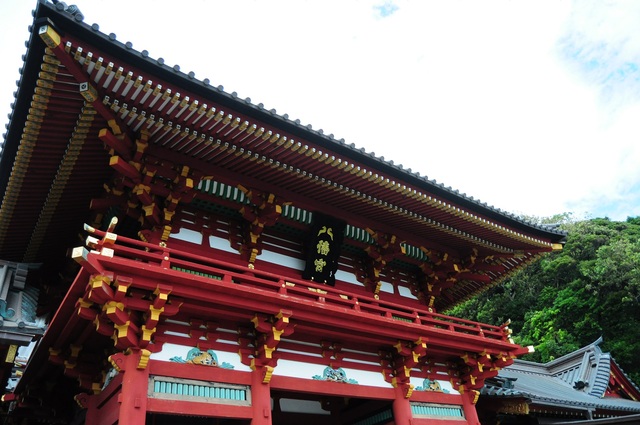 e0244492_83662.jpg