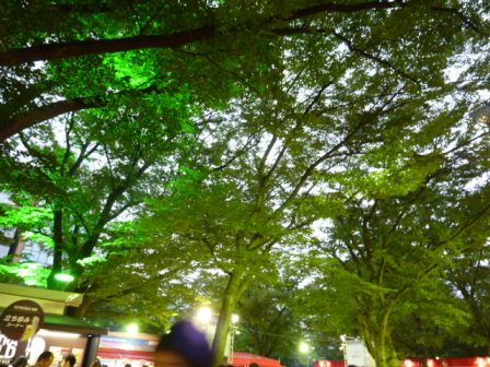 修行するぞ_b0198696_0175050.jpg