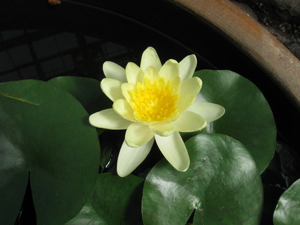 百合が原公園へ。_b0159098_171013.jpg