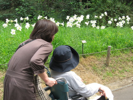 百合が原公園へ。_b0159098_1718814.jpg