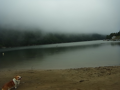 f0164499_2357107.jpg