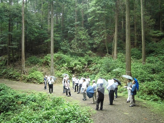 ロマンあふれる森林づくり 伊勢神宮の宮域林と式年遷宮_f0141310_759286.jpg
