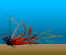 a0153216_12335444.jpg