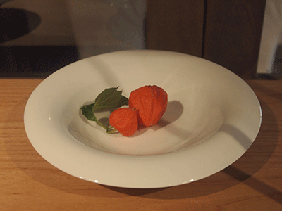 夏のはじめギャラリー_c0103119_11453774.gif