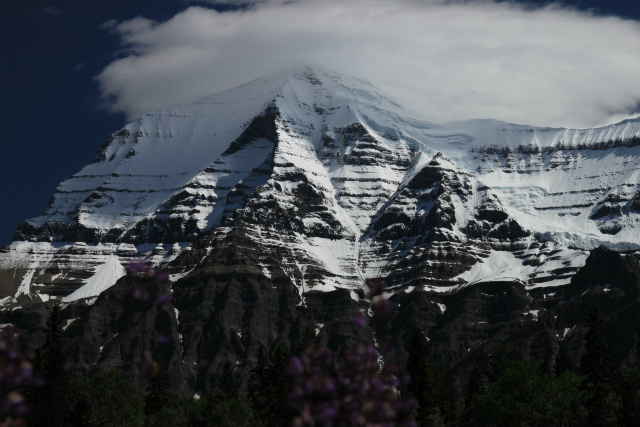 d0055236_3122952.jpg
