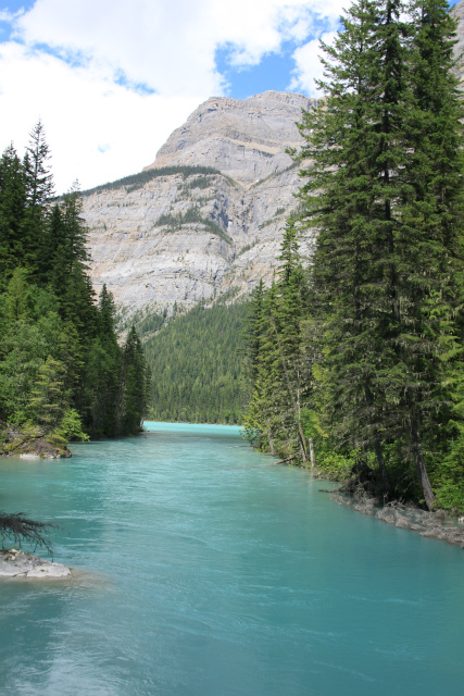 d0055236_523478.jpg