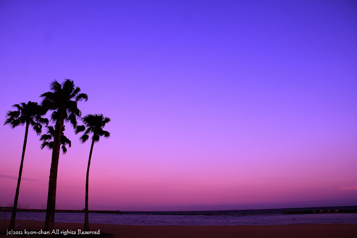 夕暮れ時の夢 A Day S Photo