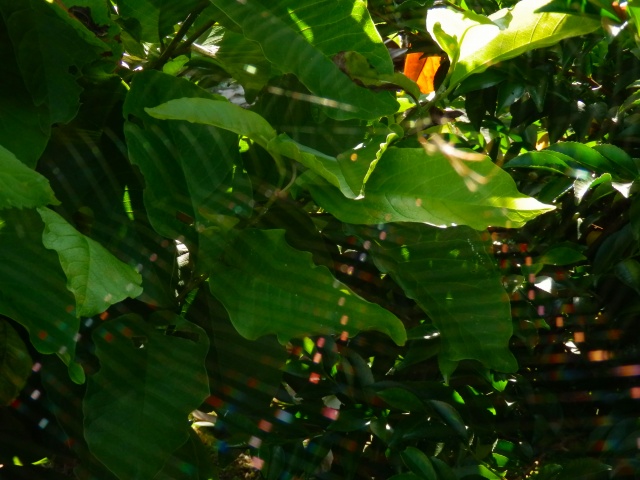 f0029038_214331100.jpg