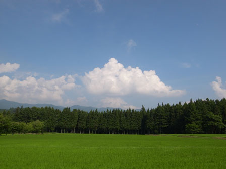 a0014840_23203716.jpg