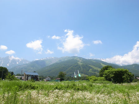a0014840_2392055.jpg