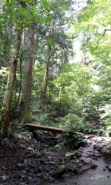 e0070448_96942.jpg