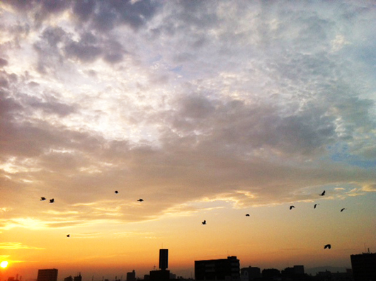 d0021649_80468.jpg