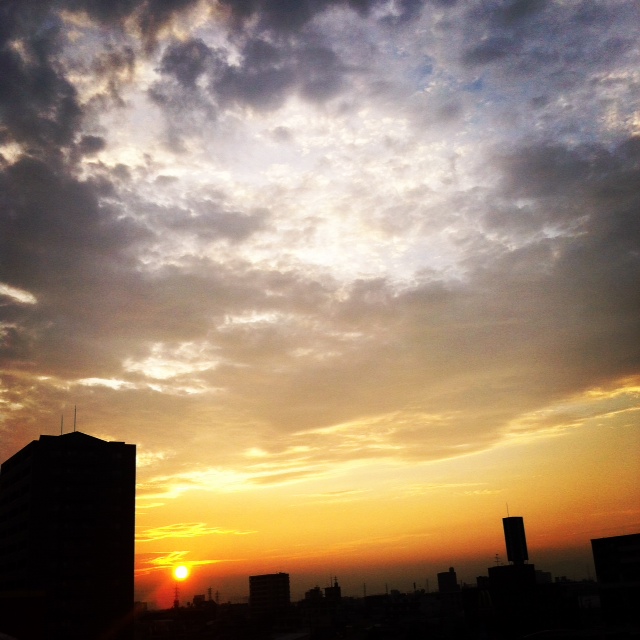 d0021649_80631.jpg