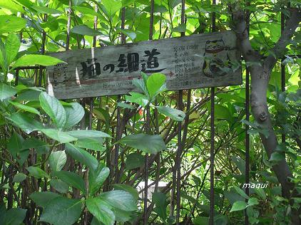 notre petit voyage#2 @Onomichi_c0098050_2157098.jpg