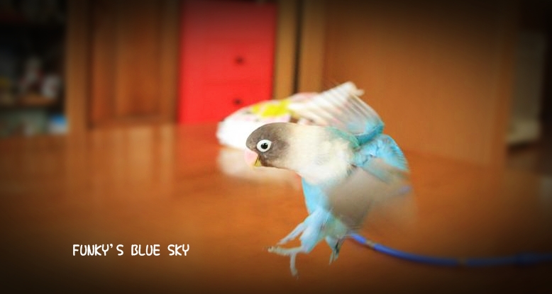 c0145250_10514952.jpg