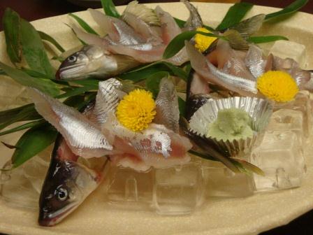 鮎のお刺身とウグイの ツンツン 郡上での田舎暮しと ふるさと郡上会