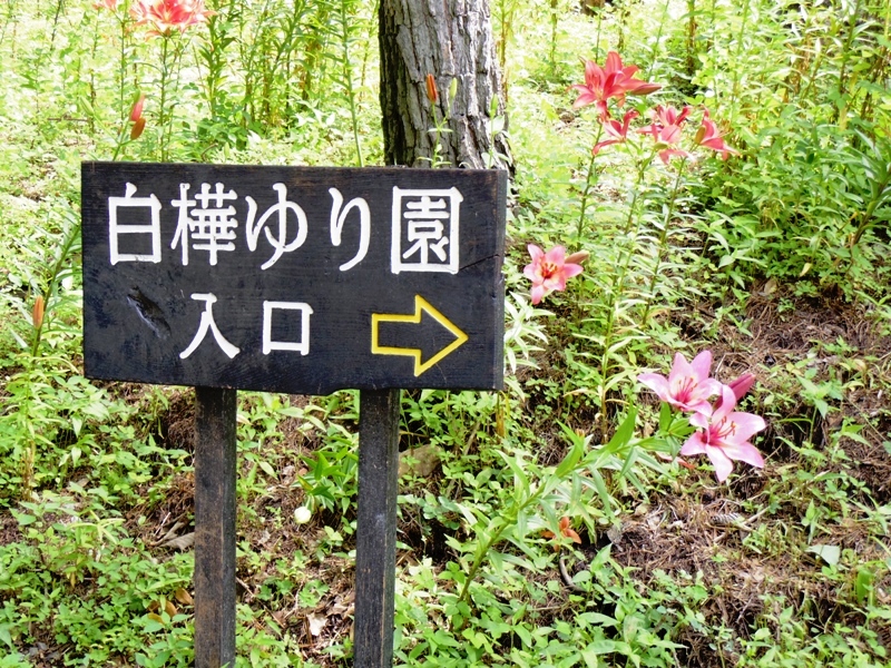 f0214467_611589.jpg