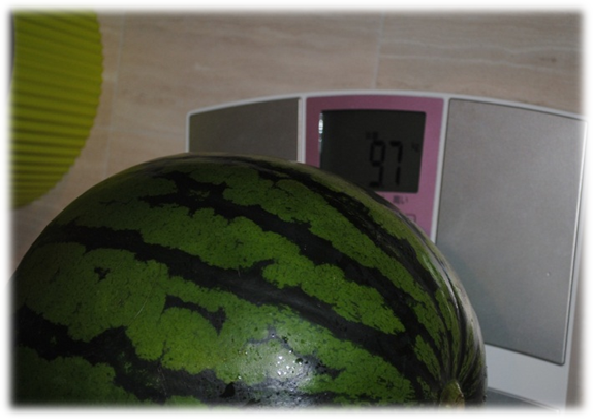 b0242873_2250449.png