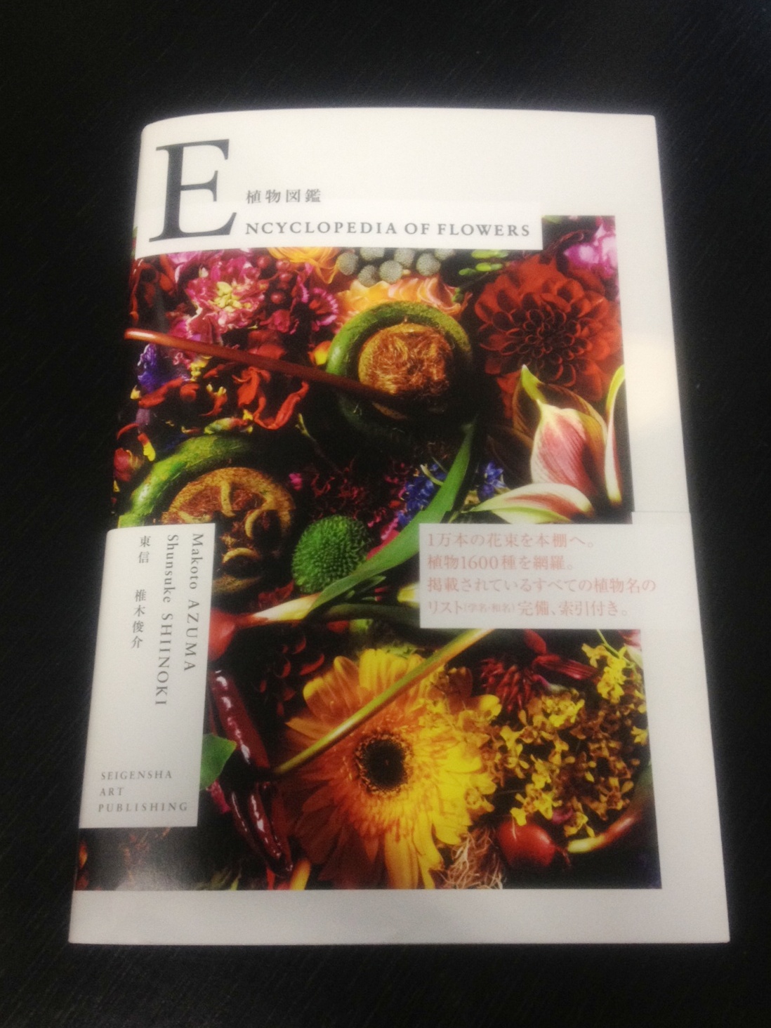 現代版の『植物図鑑』東信氏の「Encyclopedia of Flowers」_a0138976_21403081.jpg