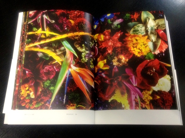 現代版の『植物図鑑』東信氏の「Encyclopedia of Flowers」_a0138976_2141460.jpg
