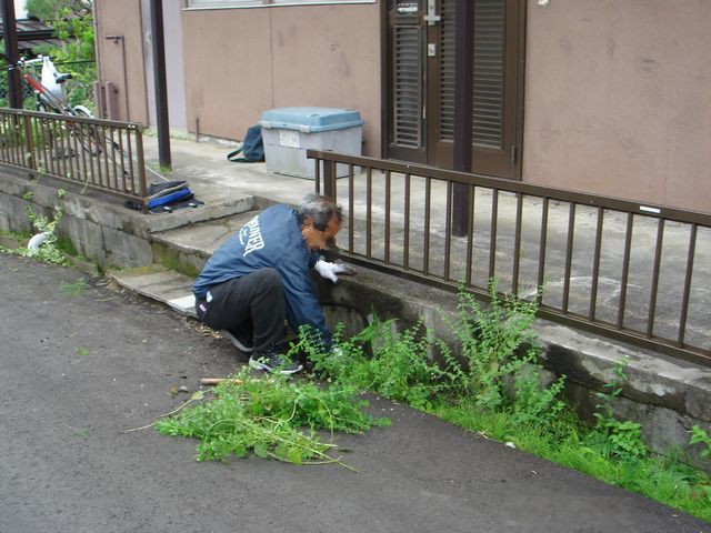 7/23 草むしりのボランティアを行いました_b0245781_1574495.jpg