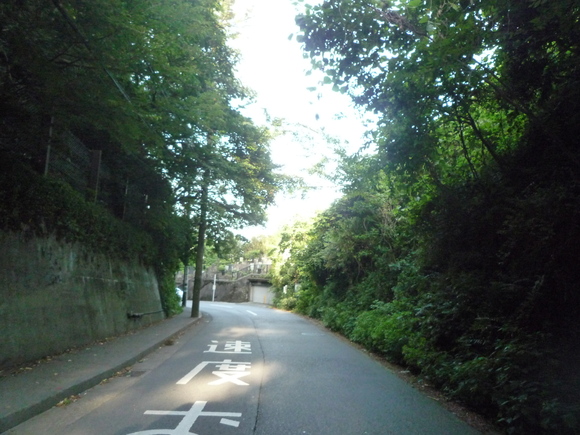 d0266681_9221799.jpg