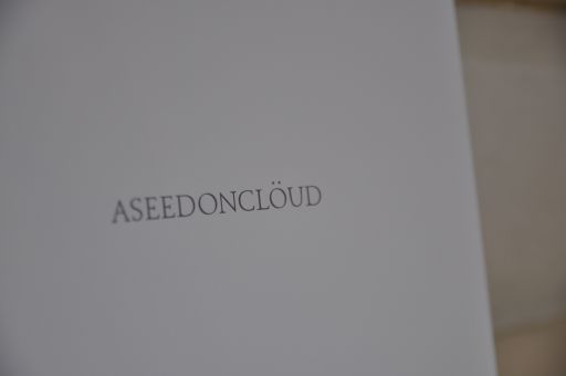\"bokudougi\" =ASEEDON CLOUD=_b0110582_2028011.jpg