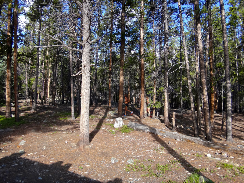 2012/07/25 Colorado Trail running Day.5 Mt.Elbert _b0220886_8201156.jpg