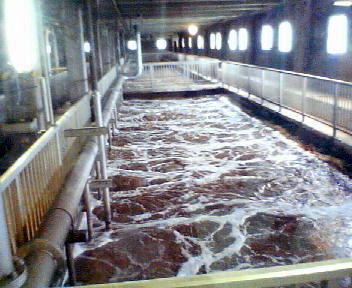 f0078286_11152043.jpg