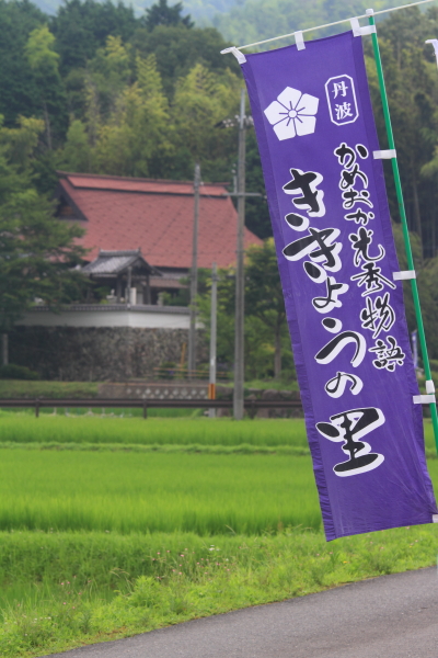 亀岡 ききょうの里_e0051888_2325869.jpg
