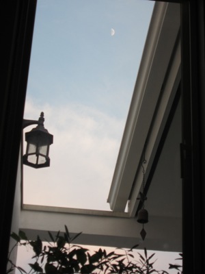 ガラスのゼリーモールド?_d0249193_2042285.jpg