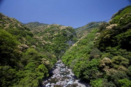 e0280693_11122773.jpg