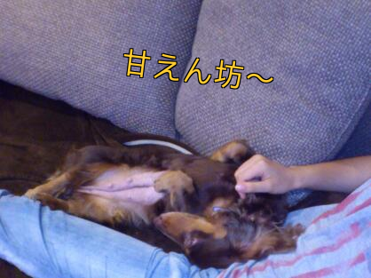 b0237894_21335334.png