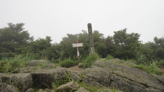 f0036700_9355448.jpg