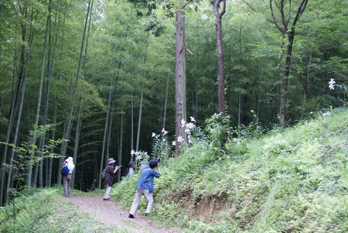 c0125702_2110546.jpg