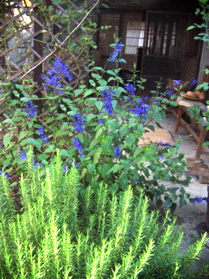 d0077603_141823100.jpg