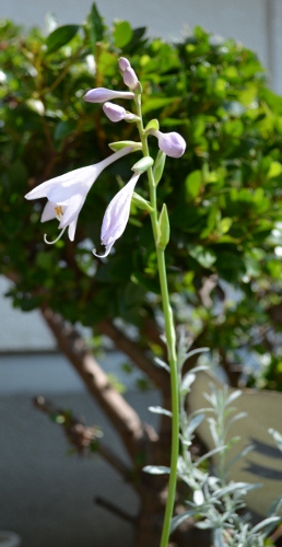 c0132205_8375147.jpg