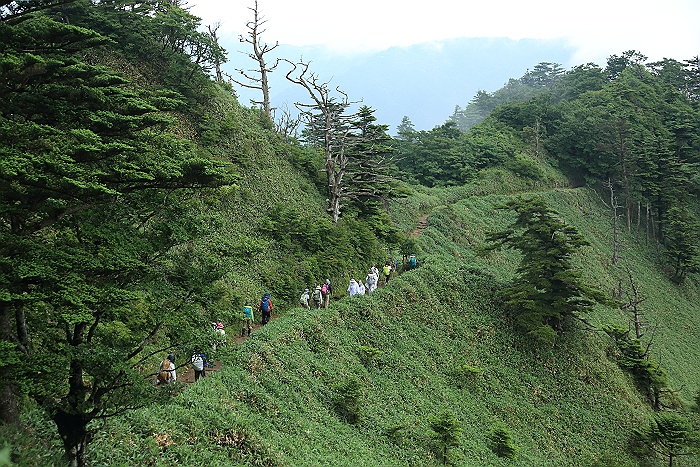 ”石鎚山の登山”　NO.4_a0140608_920176.jpg