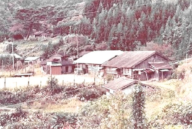 木洩れ陽の廃村_e0258208_9421844.jpg