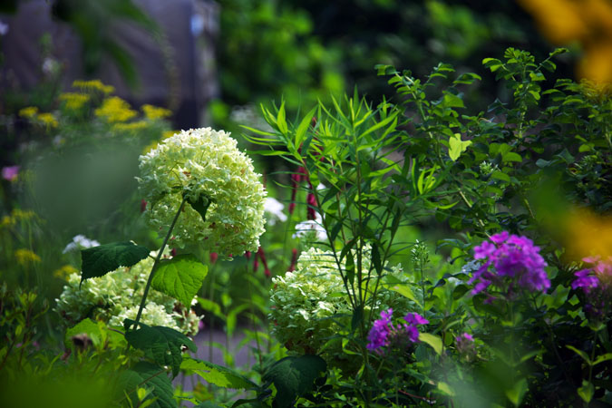 a0263109_15112716.jpg