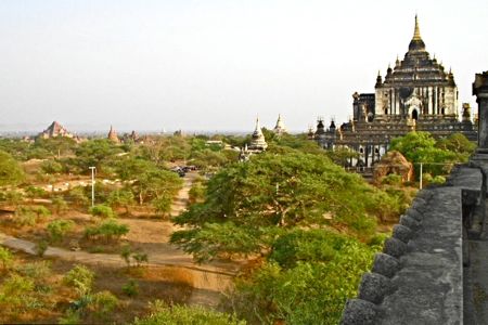 b0051109_92214.jpg
